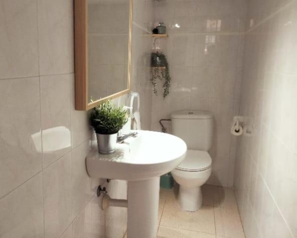 Hotel La Casita Arona  Zewnętrze zdjęcie